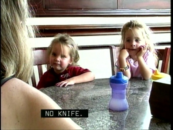 雙胞胎Twins(標題圖檔)